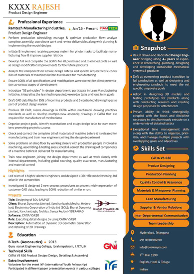 Infographic CV