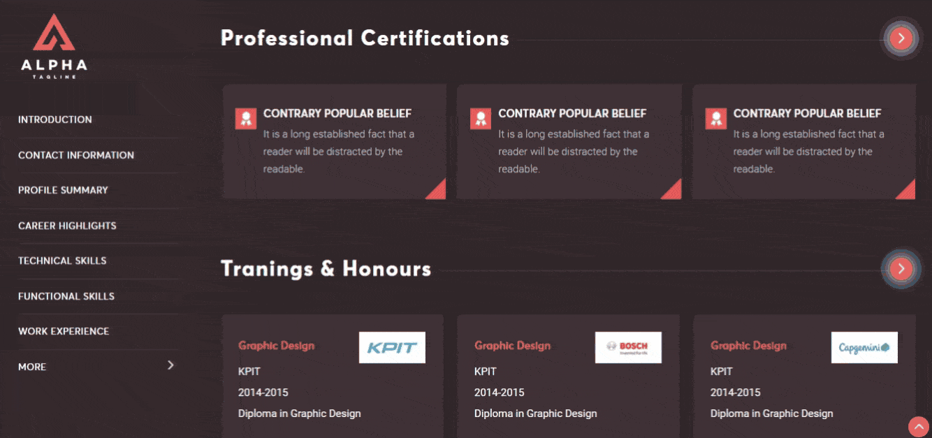 Online CV Design 1