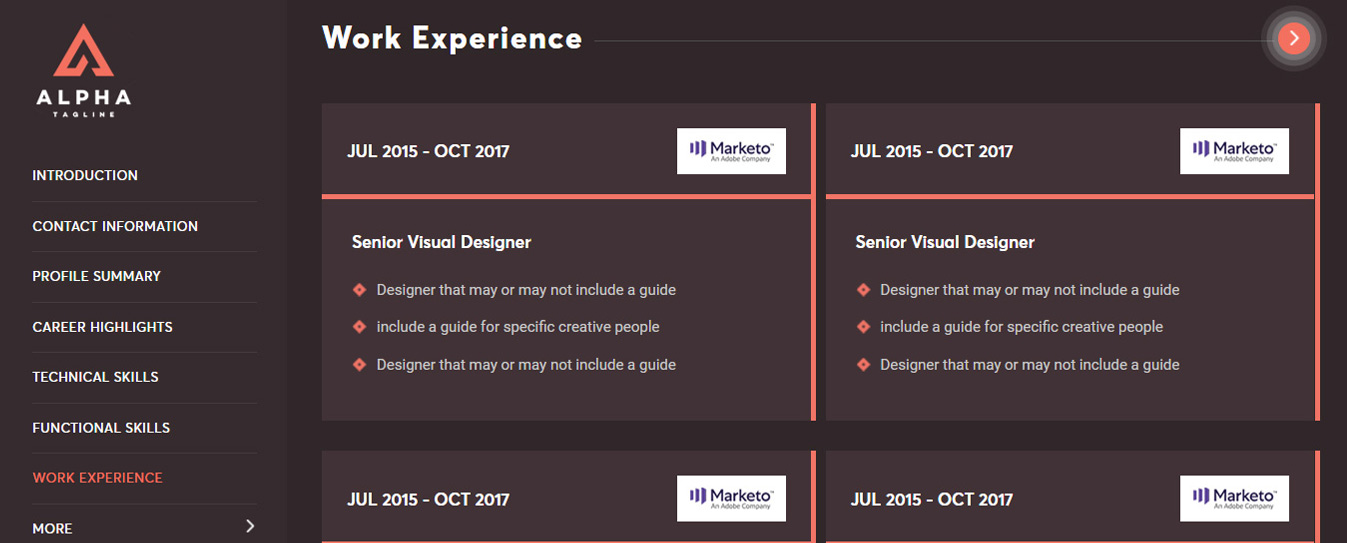 Online CV Design 1
