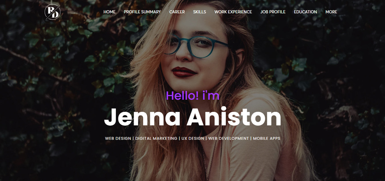 Online CV Design 1