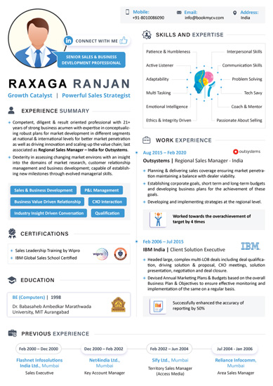 Infographic resume